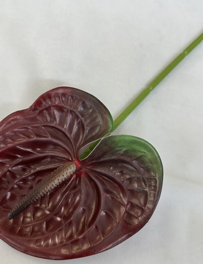 梅春小号红掌 (13)