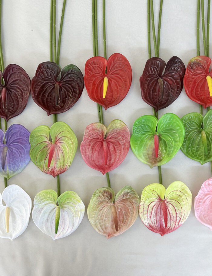 梅春小号红掌 (3)