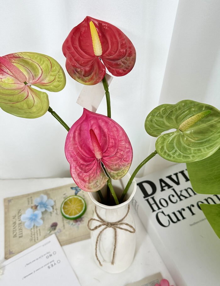 梅春小号红掌 (4)