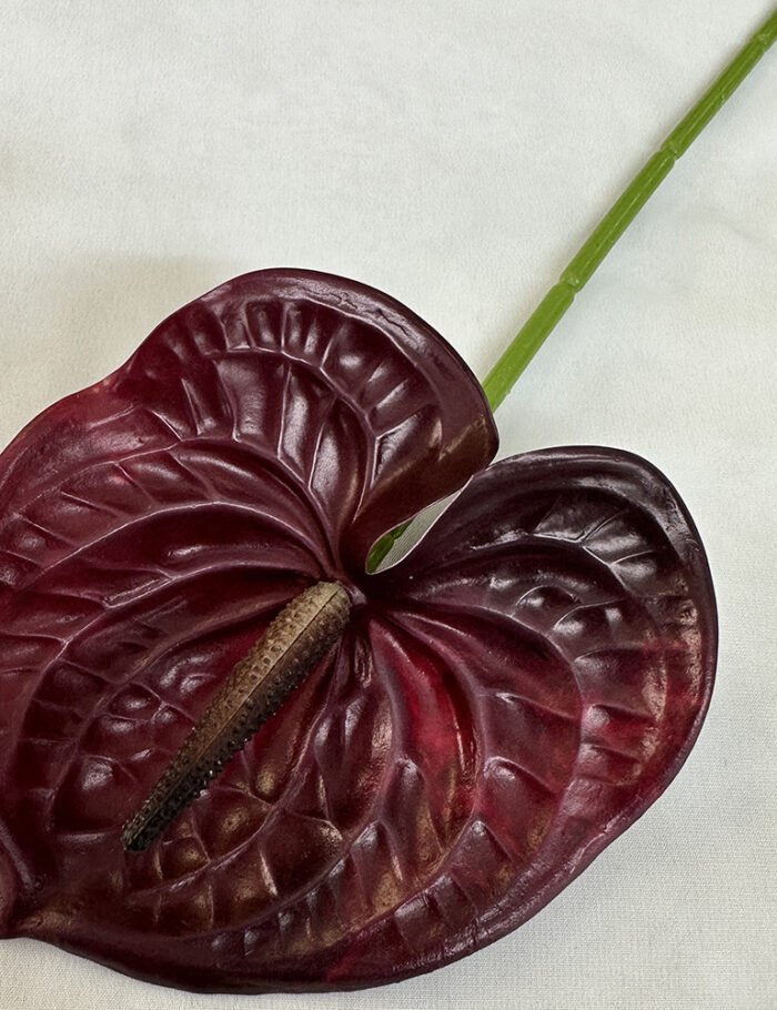 梅春小号红掌 (5)