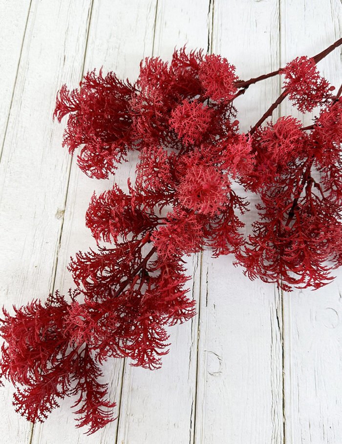 雪梨毛绒草 (10)