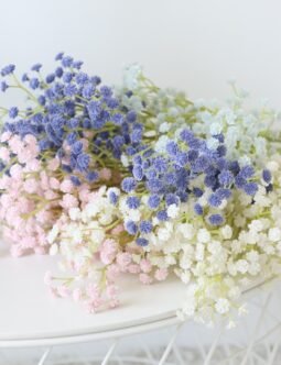 Baby's Breath