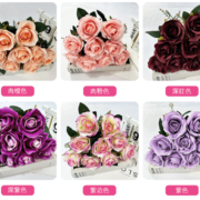10号9头玫瑰 (3)