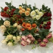 10头索菲玫瑰 (2)