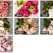 11头波兰玫瑰蕾 (5)