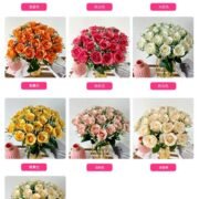 24头平头玫瑰 (5)