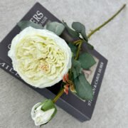 2头皇后玫瑰 (3)