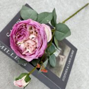 2头皇后玫瑰 (4)