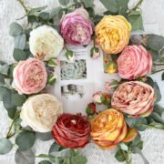 2头皇后玫瑰 (5)