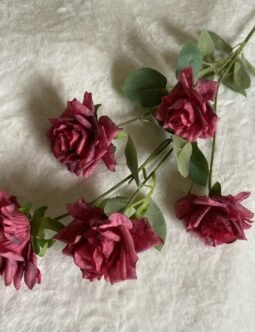 5 head Long Stem Xuehua Rose Branch