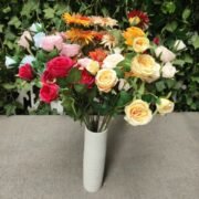 7叉开心玫瑰 (2)