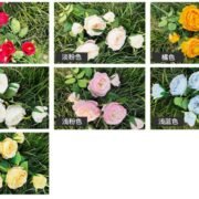 7叉开心玫瑰 (4)