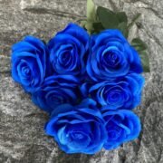 7叉转角爱玫瑰 (3)