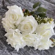 7头大号凤艳玫 (4)