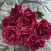 7头情人大角玫 (3)