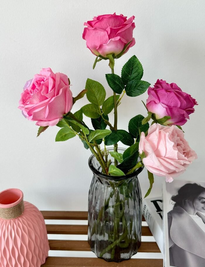 单只奥斯丁玫瑰 (3)