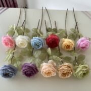 单只胶布玫瑰 (2)