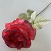 单只胶布玫瑰 (4)