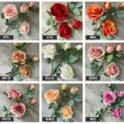 四头保加利亚玫瑰 (3)