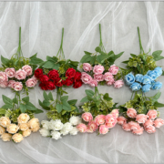 小把奥斯丁玫瑰 (1)