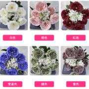 插花9头芙蓉玫 (1)