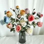 梅园3头复古玫瑰 (2)