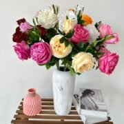 梅园三头奥斯丁玫瑰 (3)