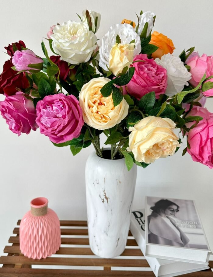 梅园三头奥斯丁玫瑰 (3)