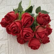 梅海12头金丝花蕾 (3)