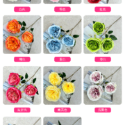 梅艺3头奥斯丁玫瑰 (1)