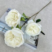 梅艺3头奥斯丁玫瑰 (2)