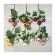 涂层布3头梅媚茶梅 (2)