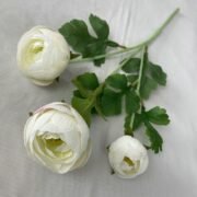 涂层布3头梅媚茶梅 (3)