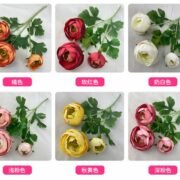 涂层布3头梅媚茶梅 (5)