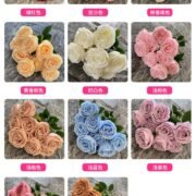 磨毛布9头皇妃把束 (4)