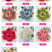 醉马7头卷边玫瑰 (1)