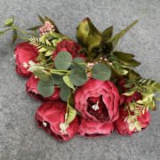 11叉钻石绒牡丹 (3)