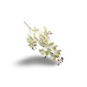 1204418b-34db-4a97-991a-902efb7b1f89