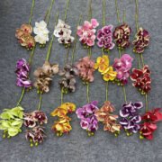 3D打印5头蝴蝶兰 (1)