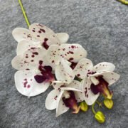 3D打印5头蝴蝶兰 (4)