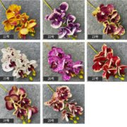 3D打印5头蝴蝶兰 (7)