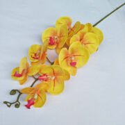 3D打印7头蝴蝶兰 (4)