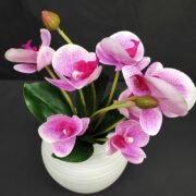 3D打印9头把蝴蝶兰 (2)