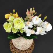 3D打印9头把蝴蝶兰 (3)