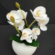 3D打印9头把蝴蝶兰 (4)