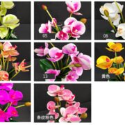 3D打印9头把蝴蝶兰 (5)