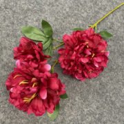 3叉芙蓉牡丹 (5)