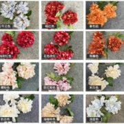 3叉芙蓉牡丹 (9)