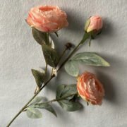 3头油画圆牡丹 (5)