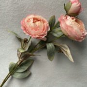 3头油画圆牡丹 (6)